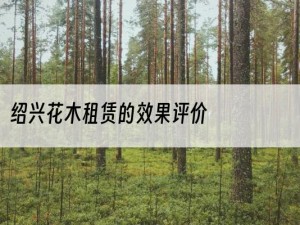 绍兴花木租赁的效果评价