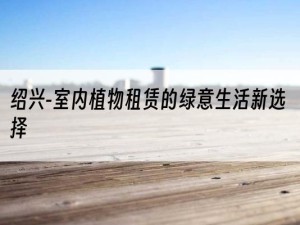 绍兴-室内植物租赁的绿意生活新选择