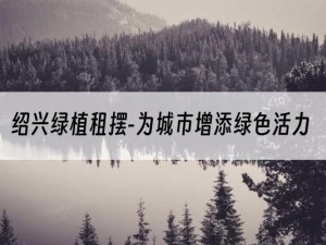 绍兴绿植租摆-为城市增添绿色活力