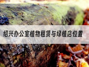 绍兴办公室植物租赁与绿植店位置
