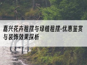 嘉兴花卉租摆与绿植租摆-优惠鉴赏与装饰效果探析