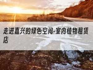 走进嘉兴的绿色空间-室内植物租赁店