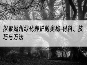 探索湖州绿化养护的奥秘-材料、技巧与方法