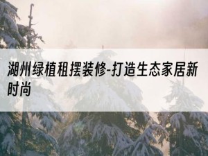 湖州绿植租摆装修-打造生态家居新时尚