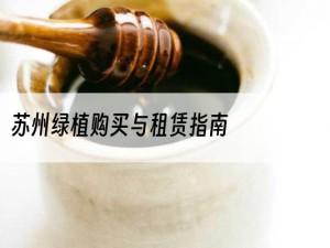 苏州绿植购买与租赁指南