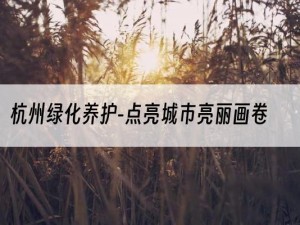 杭州绿化养护-点亮城市亮丽画卷
