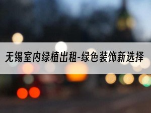 无锡室内绿植出租-绿色装饰新选择