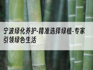 宁波绿化养护-精准选择绿植-专家引领绿色生活
