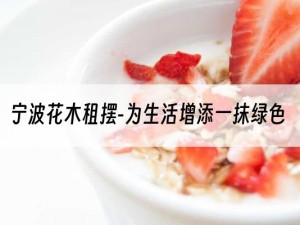 宁波花木租摆-为生活增添一抹绿色