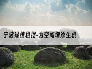 宁波绿植租摆-为空间增添生机