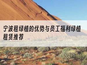 宁波租绿植的优势与员工福利绿植租赁推荐
