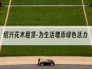 绍兴花木租赁-为生活增添绿色活力