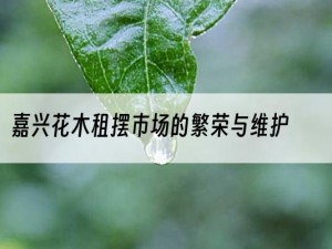 嘉兴花木租摆市场的繁荣与维护