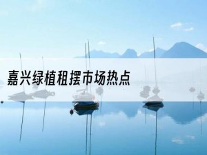 嘉兴绿植租摆市场热点