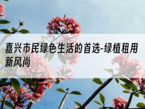 嘉兴市民绿色生活的首选-绿植租用新风尚