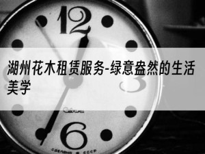 湖州花木租赁服务-绿意盎然的生活美学