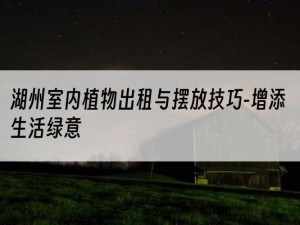 湖州室内植物出租与摆放技巧-增添生活绿意