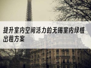 提升室内空间活力的无锡室内绿植出租方案