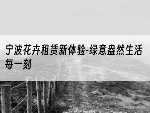 宁波花卉租赁新体验-绿意盎然生活每一刻