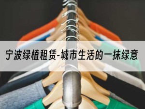 宁波绿植租赁-城市生活的一抹绿意