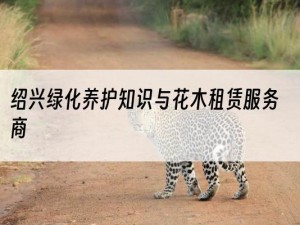 绍兴绿化养护知识与花木租赁服务商