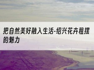 把自然美好融入生活-绍兴花卉租摆的魅力