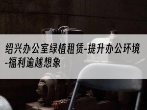 绍兴办公室绿植租赁-提升办公环境-福利逾越想象