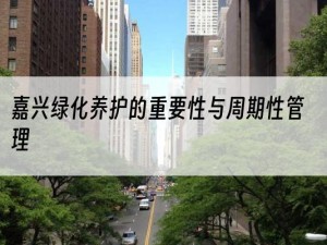 嘉兴绿化养护的重要性与周期性管理