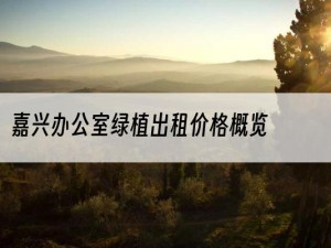 嘉兴办公室绿植出租价格概览