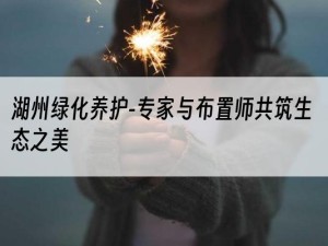 湖州绿化养护-专家与布置师共筑生态之美