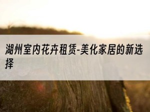 湖州室内花卉租赁-美化家居的新选择