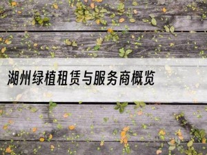 湖州绿植租赁与服务商概览