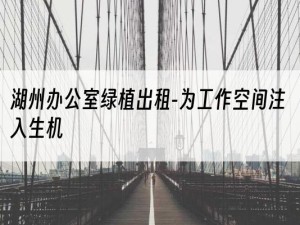 湖州办公室绿植出租-为工作空间注入生机