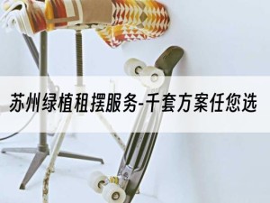 苏州绿植租摆服务-千套方案任您选
