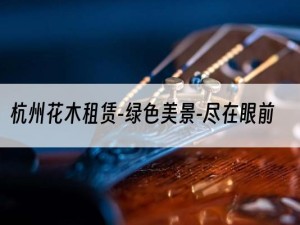 杭州花木租赁-绿色美景-尽在眼前