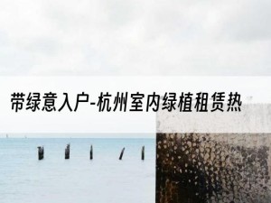 带绿意入户-杭州室内绿植租赁热