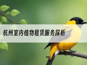 杭州室内植物租赁服务探析