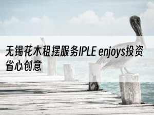 无锡花木租摆服务IPLE enjoys投资省心创意