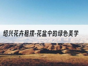 绍兴花卉租摆-花盆中的绿色美学