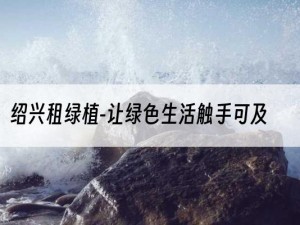 绍兴租绿植-让绿色生活触手可及