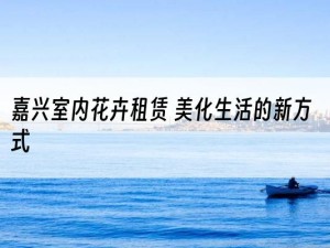 嘉兴室内花卉租赁 美化生活的新方式