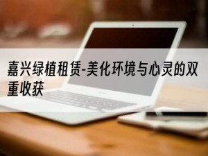 嘉兴绿植租赁-美化环境与心灵的双重收获