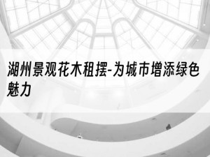湖州景观花木租摆-为城市增添绿色魅力