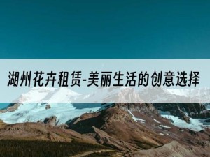 湖州花卉租赁-美丽生活的创意选择