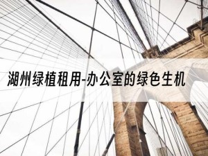 湖州绿植租用-办公室的绿色生机