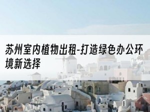 苏州室内植物出租-打造绿色办公环境新选择