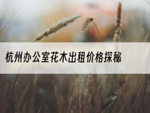杭州办公室花木出租价格探秘