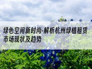 绿色空间新时尚-解析杭州绿植租赁市场现状及趋势