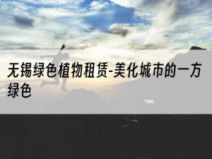 无锡绿色植物租赁-美化城市的一方绿色