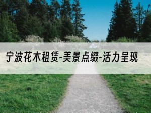 宁波花木租赁-美景点缀-活力呈现